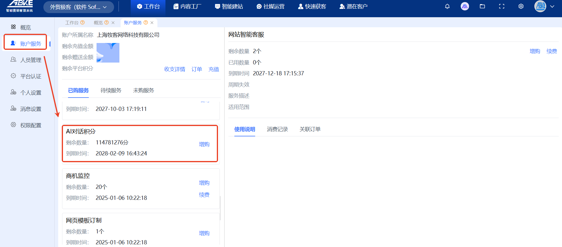 AI in B2B foreign trade customer management