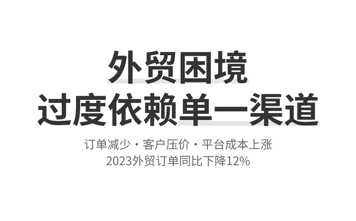 摆脱单一获客困境,提升外贸持续盈利能力的实用策略