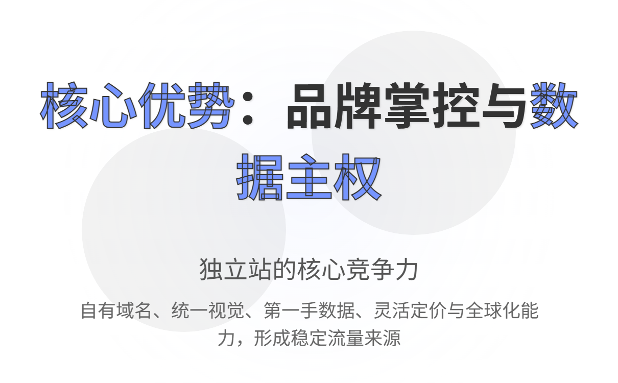 独立站是什么平台?自建商城的定义、优势与选型指南