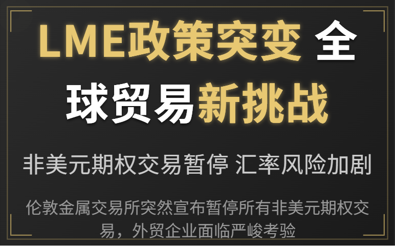 LME暂停非美元期权交易:外贸企业汇率风险应对策略 LME暂停非美元期权交易:外贸企业汇率风险应对策略